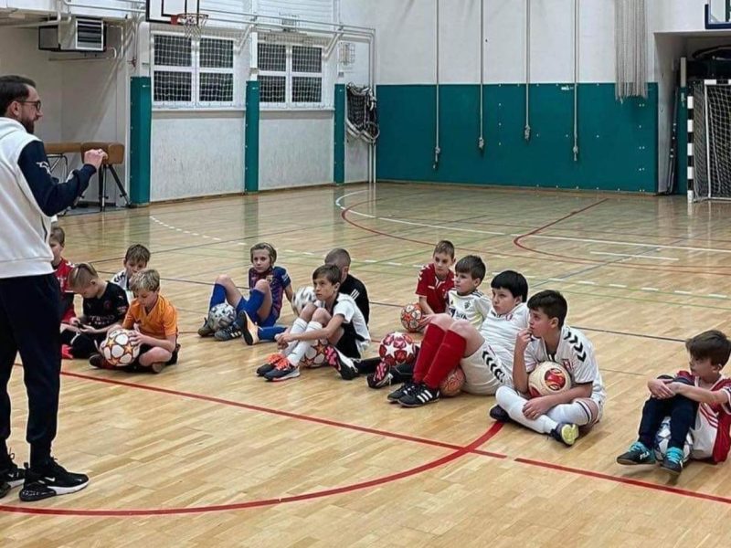 Mladinski program